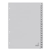 Tabblad A4 23R karton 1-20 grijs/set20