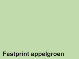Kopieerpapier Quantore Colour A3 80gr appelgroen 500 vel