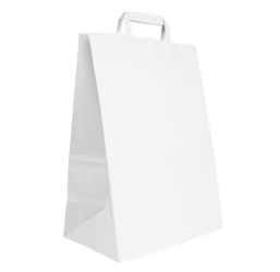 Papieren-draagtassen-wit-klein-221028-cm-verpakt-per-500-stuks-model-wit