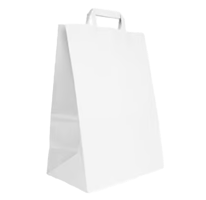 Papieren draagtassen wit klein 22×10×28 cm verpakt per 250 Stuks model wit