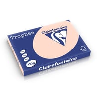 Papier CF A3 120g zalm/pk250v