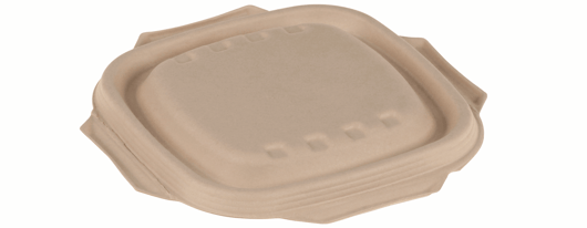 Suikerriet deksel voor BOWL-500ML/17X17X4CM-BRUIN en BOWL-750ML/17X17X5,5CM-BRUIN, kleur bruin artikel afbeelding