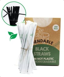 Bio- rietjes-250 stuks