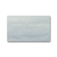 Zijdepapier Folia 50x70cm zilver/pk26v