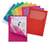 Venstermap Exacompta Forever L-model 120gr assorti 100 stuks