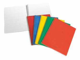 SPIRAALCARNET 80X135MM RUIT 5X5MM 100BLZ artikel afbeelding