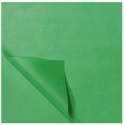 Vloeipapier 50 x 70 cm Appelgroen