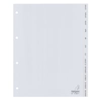 Tabblad A4 4R PP maanden grijs/set12