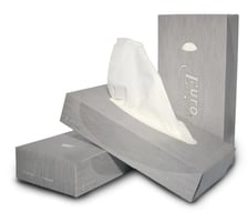 Euro facial tissues in dispenserdoos, 2 laags cellulose, 21 x 21 cm, 1 doos bevat 40 x 100 stuks