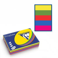 Papier Trophée A4 80g pastel ass/pk500v