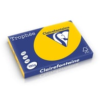 Papier CF A3 120g zonnebloemgeel/pk250v