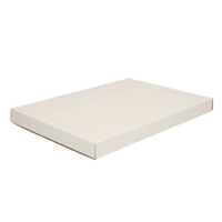 Brievenbusdoos A4 305x220x26 mm wit – E-golf enkelgolf (Verpakt per: 40)