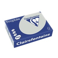 Papier CF A4 210g licht grijs/pk250v