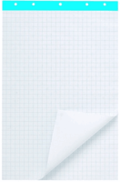 Staples Flipoverpapier gerecycled 65 x 100 cm, 50 vel, met 5 gaten (pak 2 blokken)