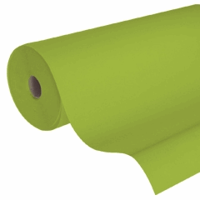 Rol Pakpapier Appelgroen – 60 cm Breed – 400 Meter Lang. Onverpakt.