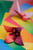 Origami Clairefontaine Gradient 20x20cm set à 100 vel 80gram assorti