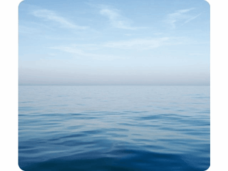 MUISMAT FELLOWES NATUUR BLAUWE OCEAAN 228X203MM artikel afbeelding
