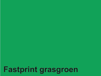 KOPIEERPAPIER FASTPRINT A4 80GR GRASGROEN artikel afbeelding