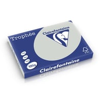 Clairefontaine Trophée Gekleurd Papier A3 120 g/m² Lichtgrijs (1 pak x 250 vellen)