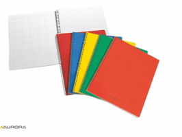 Schrift Aurora 75x110mm ruit 5x5mm 160 pagina's 60gr assorti