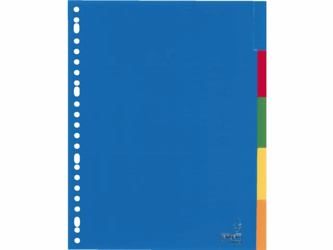 TABBLAD KANGARO A405FM A4 23R PP 5DLG VENSTERTABS artikel afbeelding