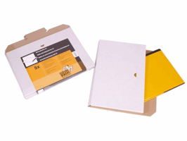 Brievenbusbox CleverPack A4 350x230x26mm karton wit pak à 5 stuks