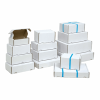 Postobox 385x215x135mm, kleur wit, type 15