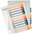 TABBLAD LEITZ WOW INDEX PRINTBAAR PP A4+ 1-12 artikel afbeelding