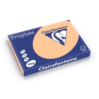Papier CF A3 120g abrikoos/pk250v