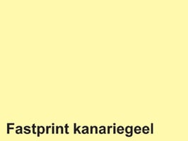Kopieerpapier Quantore Colour A4 120gr kanariegeel 100 vel