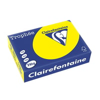 Papier Clairefontaine A4 210g zongl/p250