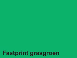 Kopieerpapier Quantore Colour A4 120gr grasgroen 100 vel
