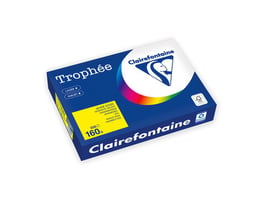 Papier Trophée A4 160g geel/pak 250v