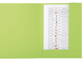 Dossiermap Exacompta Forever A4 2 kleppen 290gr groen