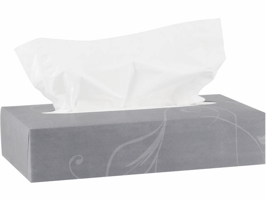 KATRIN PLUS facial tissues 2 laags (pak 100 stuks)