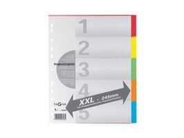 PAGNA Tabblad A4XXL 11R kleurkarton/set 5