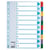 Esselte Index tabblad, A4, polypropyleen en karton, set van 1-10 tabbladen, assorti (set 10 vel)