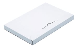 Brievenbusbox Budget wit golfkarton
