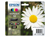 INKCARTRIDGE EPSON 18 T1806 ZWART + 3 KLEUREN artikel afbeelding