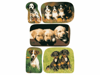 ETIKET HERMA 3528 HOND artikel afbeelding