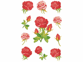 Etiket HERMA 3581 rozen