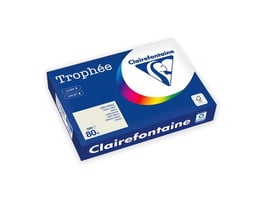 Papier Trophée A4 80g parelgrijs/pk500v