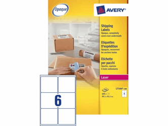 ETIKET AVERY L7166-100 99.1X93.1MM 600ST artikel afbeelding