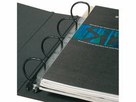 Opbergstrip Djois filstrip A4 295mm 2/4rings transparant 50 stuks