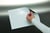 Magneetvel MAUL 200x300mm wit