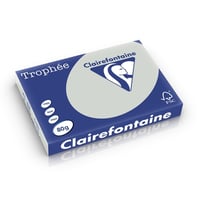 Papier CF A3 80g licht grijs/pk500v