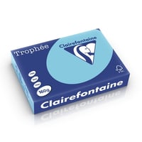 Papier Clairefontaine A4 160g dbl/pk250v
