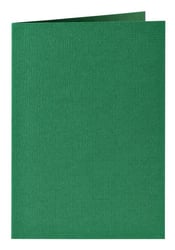 Correspondentiekaart Papicolor dubbel 105x148mm Dennengroen artikel afbeelding