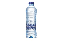 Chaudfontaine Naturel Blauw Mineraalwater, Koolzuurvrij, 0,5 liter, Petfles (pak 24 x 500 milliliter)