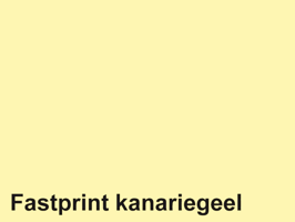 Kopieerpapier Quantore Colour A4 160gr kanariegeel 50 vel